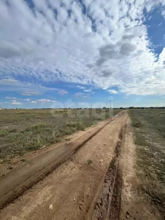 Участок в Крым, Раздольненский район, Ручьевское с/пос, с. Ручьи ул. ... - Фото 0