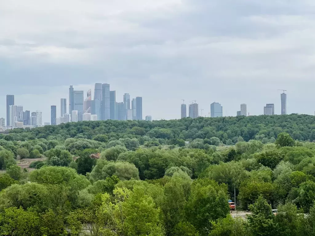 1-к кв. Москва ул. Нижние Мневники, 9 (43.0 м) - Фото 0