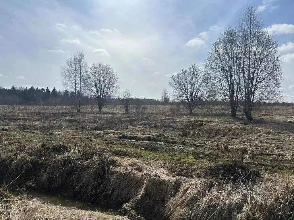 Участок в Московская область, Клин городской округ, д. Голенищево  ... - Фото 1