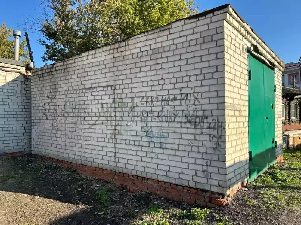 Гараж в Тамбовская область, Мичуринск Федеративная ул., 68 (26 м) - Фото 2