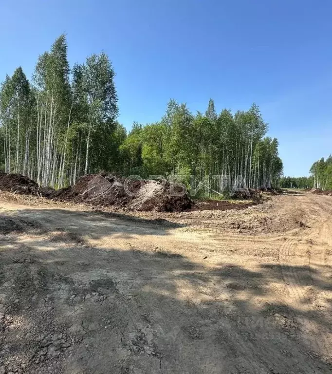Участок в Тюменская область, Нижнетавдинский район, Строитель ТСН ул. ... - Фото 0