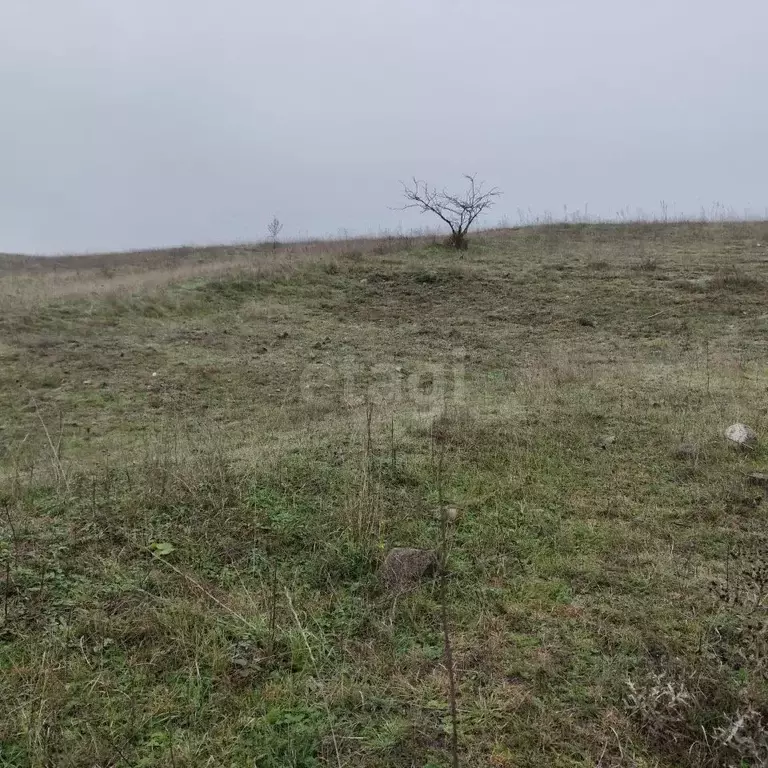 Участок в Ингушетия, Назрань Центральный административный округ, ул. ... - Фото 1