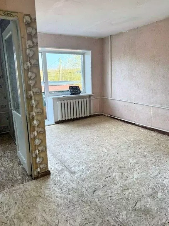 1-к кв. Челябинская область, Касли ул. Ленина, 65 (29.9 м) - Фото 0