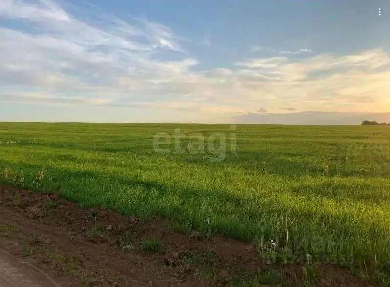 Дом в Пермский край, Частинский муниципальный округ, д. Байдины 4Б (37 ... - Фото 1