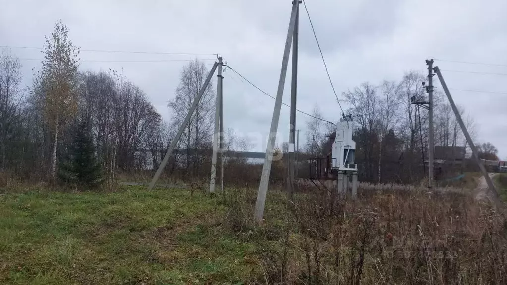 Участок в Вологодская область, Белозерский муниципальный округ, д. ... - Фото 0