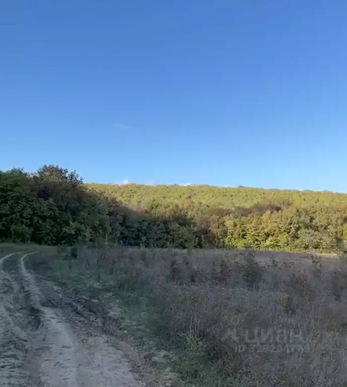 Участок в Севастополь с. Орлиное, пер. Западный, 12 (200.0 сот.) - Фото 1