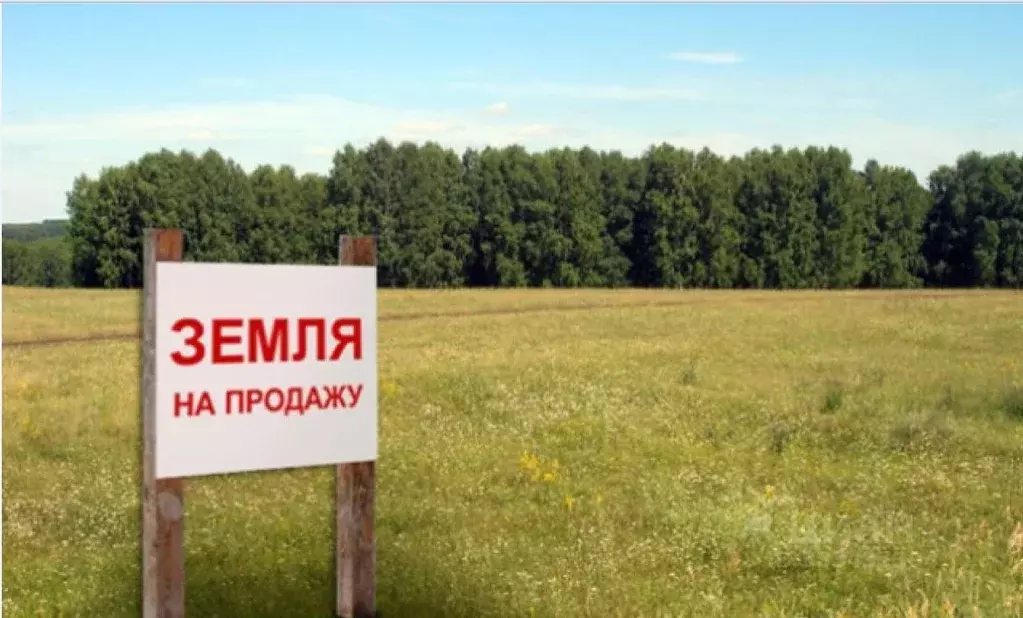 Участок в Брянская область, Брянский район, Новодарковичское с/пос, д. ... - Фото 1