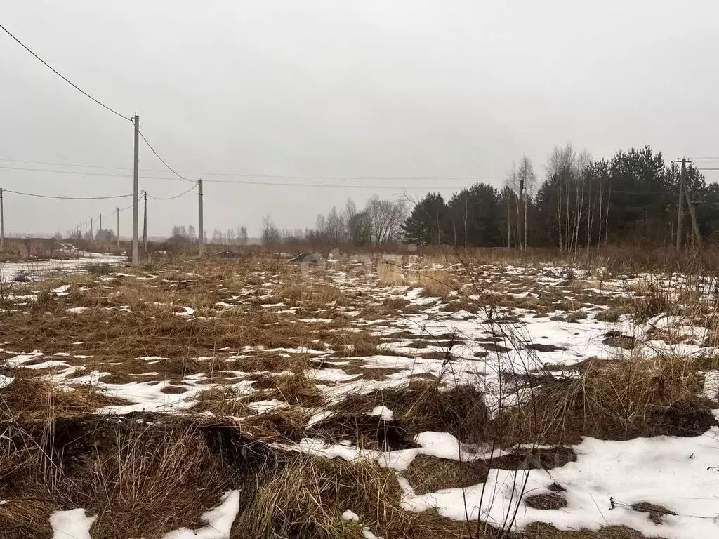 Участок в Ярославская область, Ярославский район, Заволжское с/пос, д. ... - Фото 1