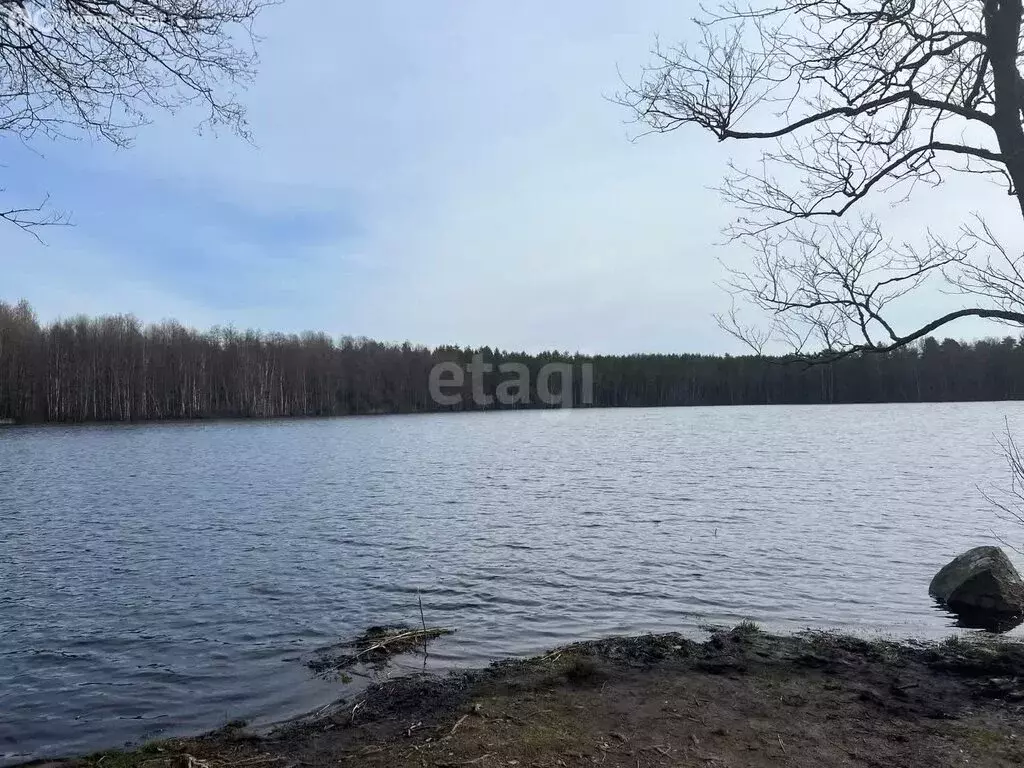 дом в выборгский район, приморское городское поселение, коттеджный . - Фото 1