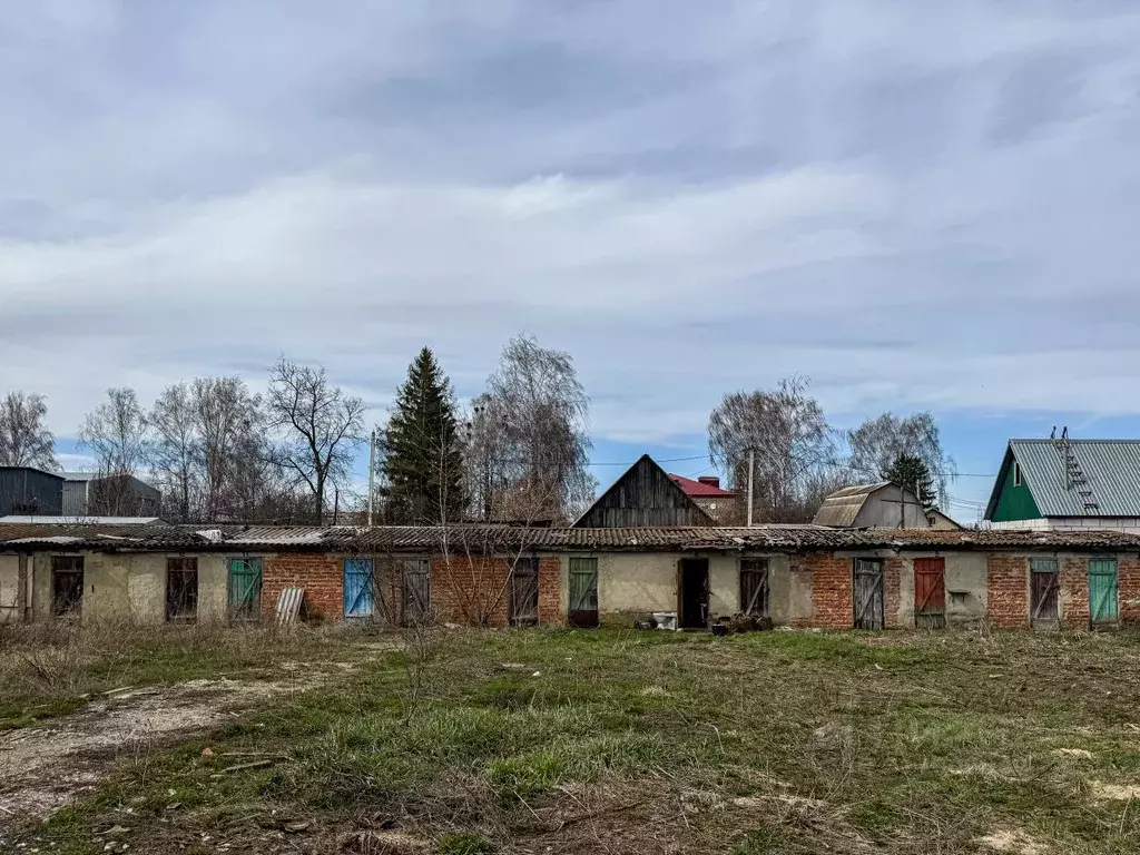 Помещение свободного назначения в Орловская область, Кромы пгт ул. К. ... - Фото 0