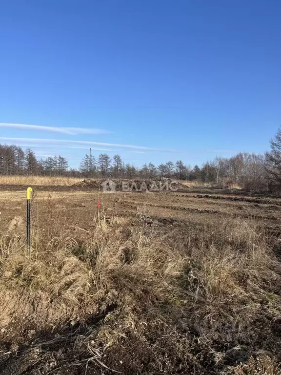 Участок в Сахалинская область, Анивский городской округ, с. Мицулевка ... - Фото 0