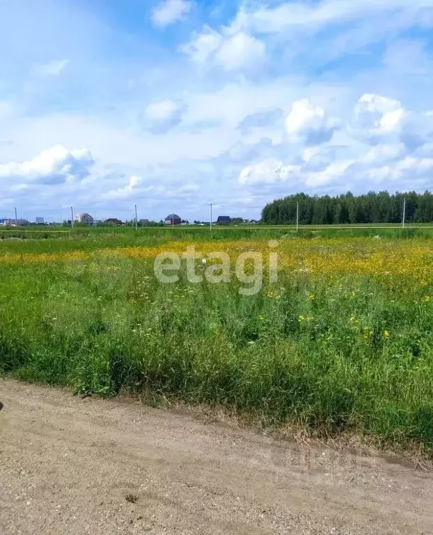 Участок в Новосибирская область, Новосибирский район, Криводановский ... - Фото 1