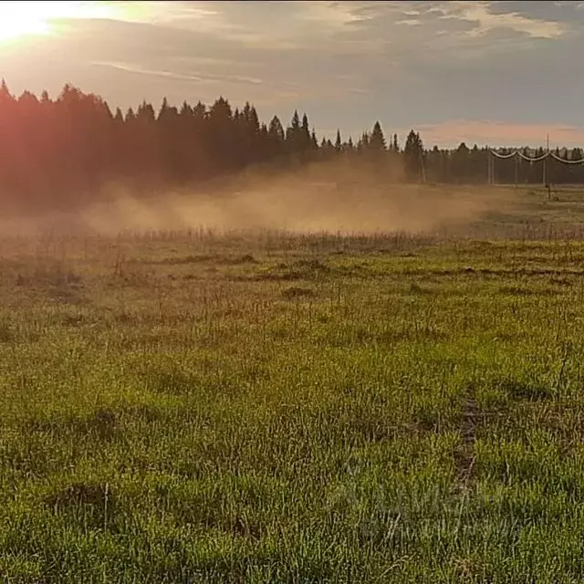 Участок в Пермский край, Пермский муниципальный округ, Садовод СНТ  ... - Фото 2
