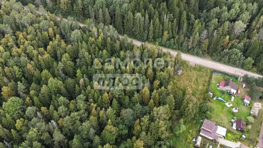 Участок в Ленинградская область, Тосненский район, Форносовское ... - Фото 2