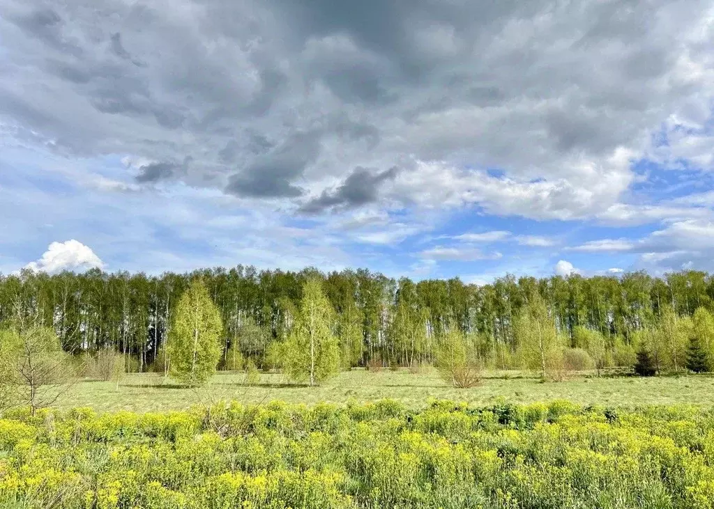 участок в московская область, дмитровский городской округ, д. . - Фото 1