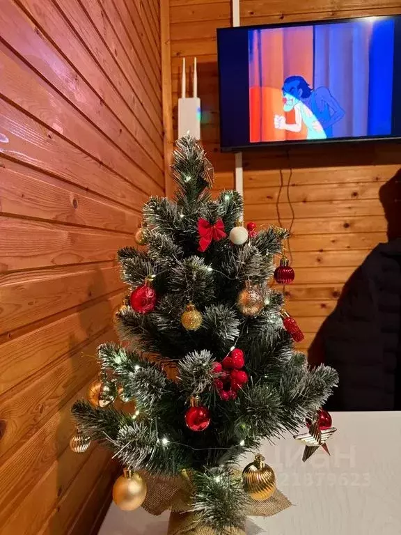 Комната Краснодарский край, Апшеронский район, пос. Мезмай Речная ул. - Фото 2