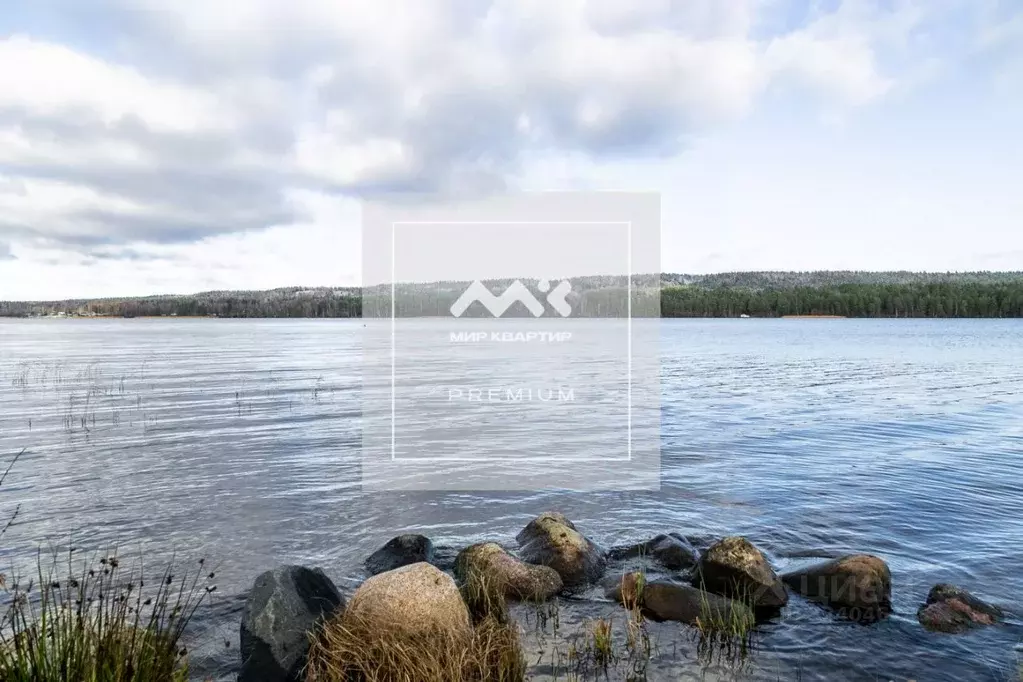 Участок в Ленинградская область, Выборгский район, Рощинское городское ... - Фото 1