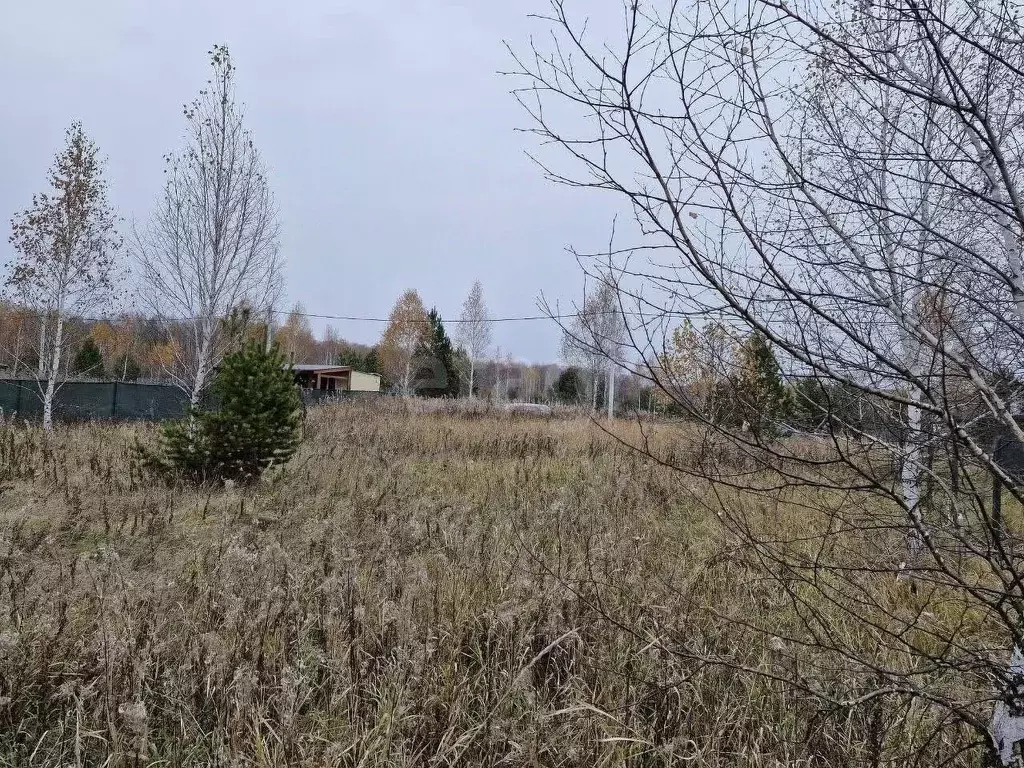 Участок в Челябинская область, Сосновский муниципальный округ, с. ... - Фото 1