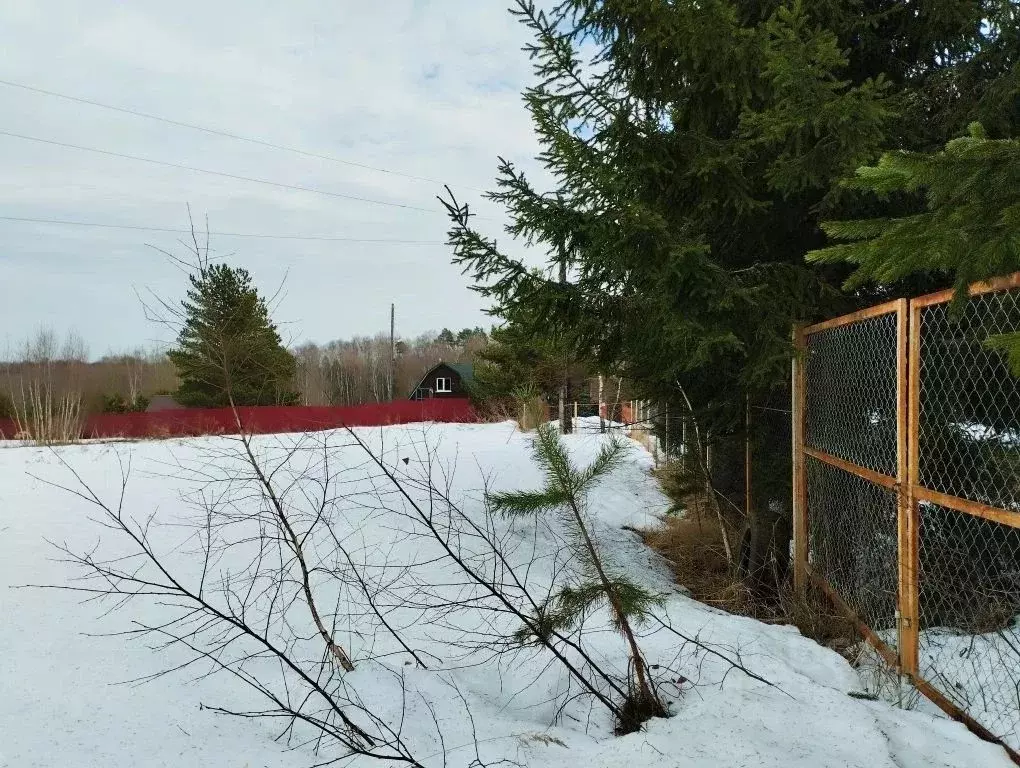 Участок в Тульская область, Заокский район, Малаховское с/пос, д. ... - Фото 2