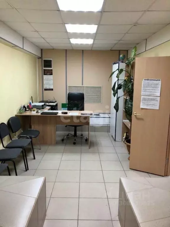 Помещение свободного назначения в Брянская область, Брянск ... - Фото 0