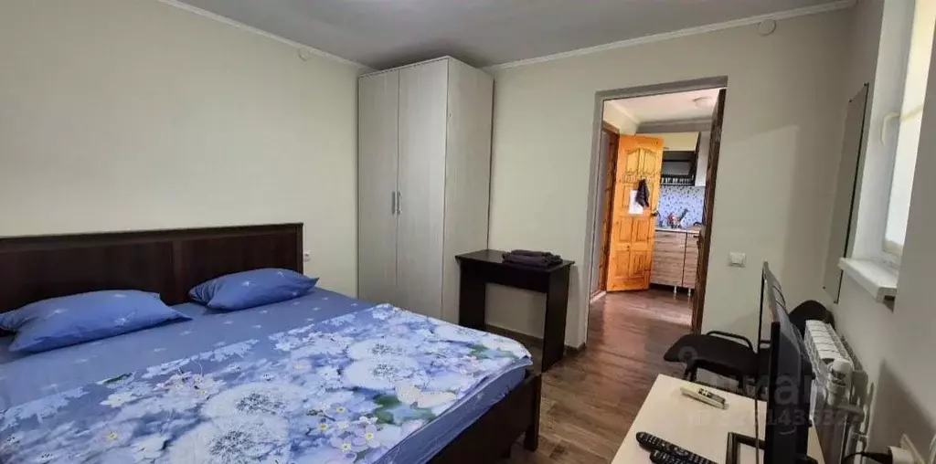 1-к кв. Краснодарский край, Сочи Адлер жилрайон,  (25.0 м) - Фото 1