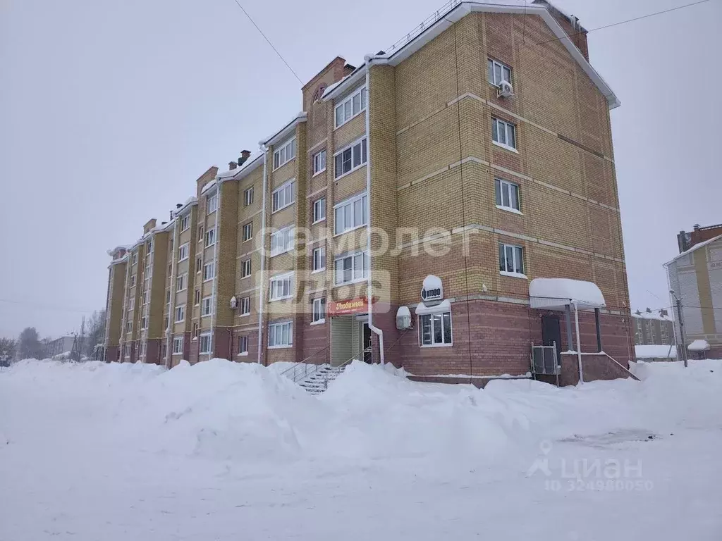 1-к кв. Марий Эл, Медведевский район, Руэмское с/пос, пос. Руэм ул. ... - Фото 1