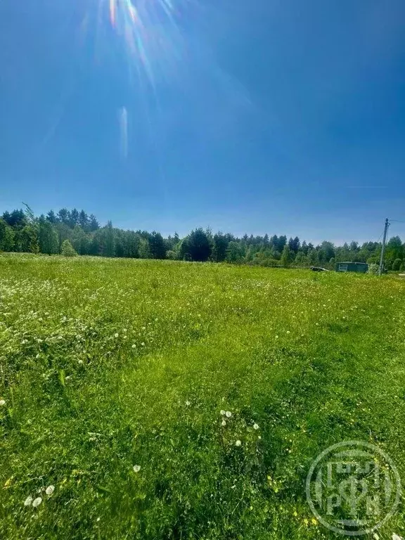 Участок, 11 сот., 0 - Фото 0