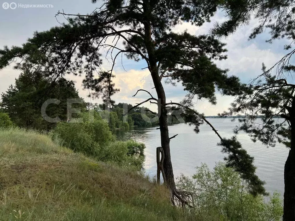 Участок в Липецкая область, Грязинский муниципальный округ, территория ... - Фото 2