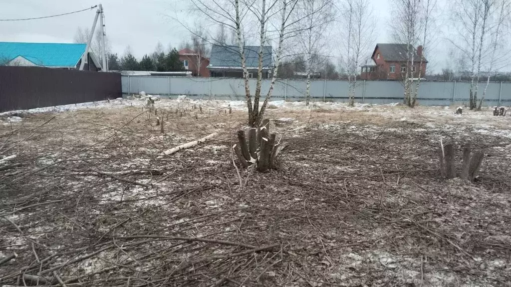 Участок в Московская область, Богородский городской округ, д. Новое ... - Фото 0