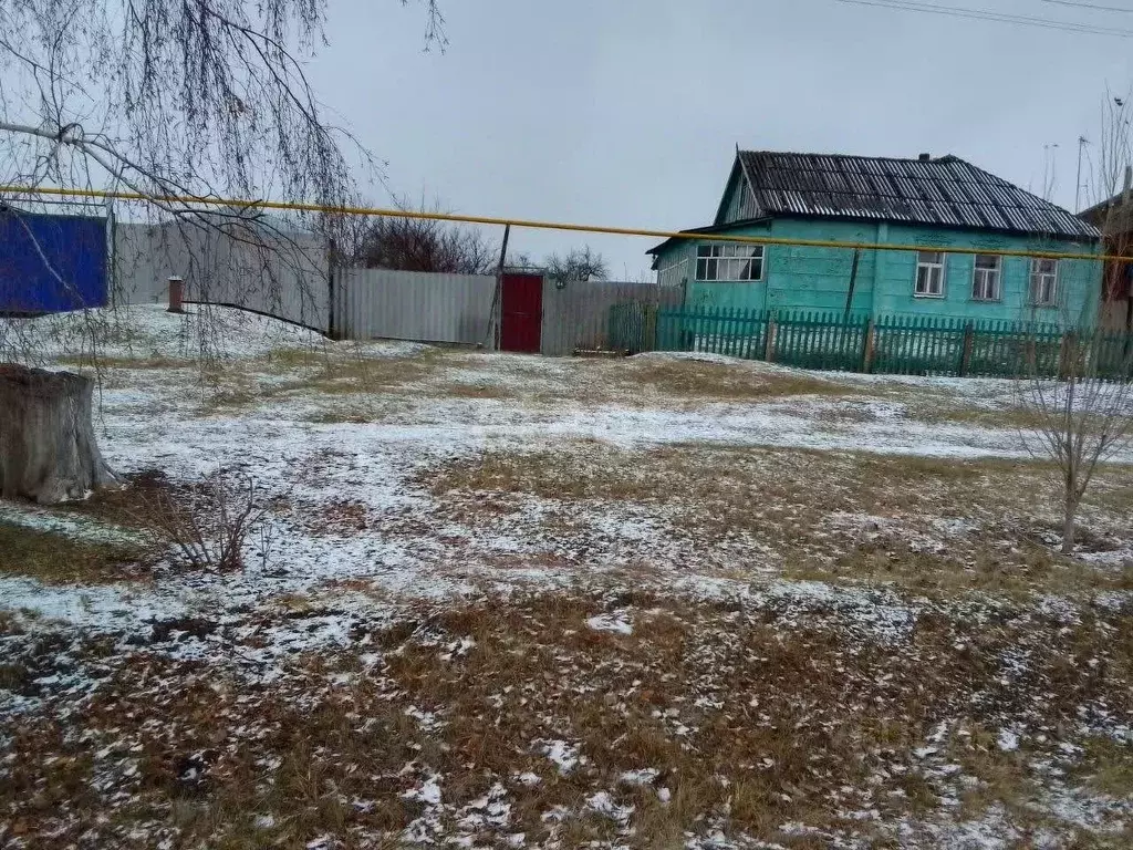 Дом в Белгородская область, Новооскольский муниципальный округ, с. ... - Фото 0