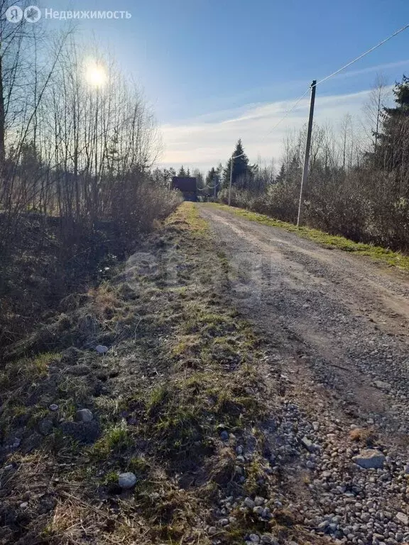 Участок в Кусинское сельское поселение, садоводческий массив ... - Фото 2