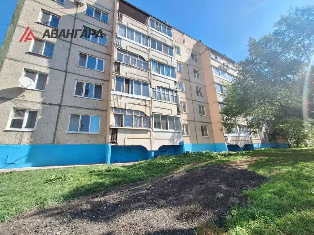 2-к кв. Приморский край, Арсеньев ул. Ломоносова, 48 (49.8 м) - Фото 2