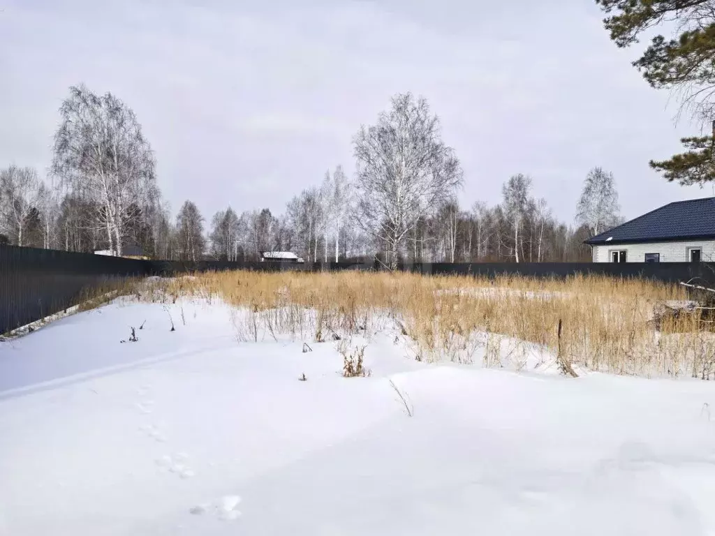 Участок в Тюменская область, Тюмень Ясень садовое товарищество, ул. ... - Фото 1