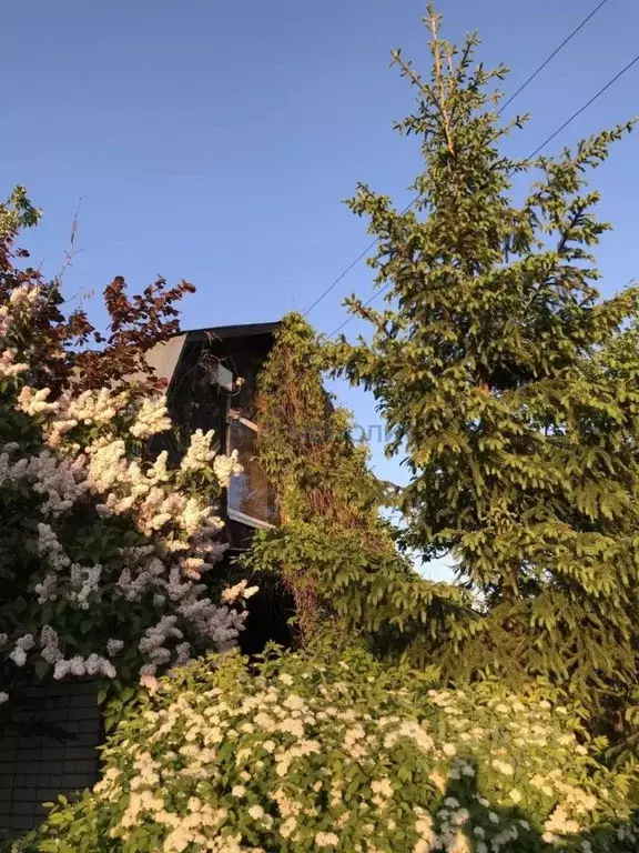 Дом в Нижегородская область, Дзержинск Дзержинец СТ,  (70 м) - Фото 2