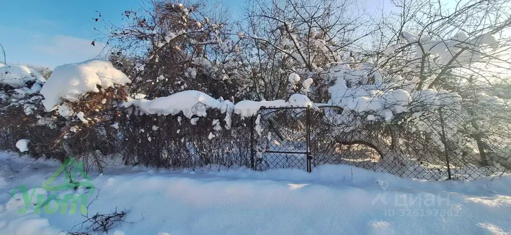Участок в Московская область, Раменский муниципальный округ, Дружба-2 ... - Фото 2