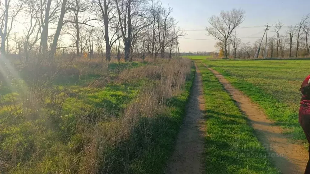 Участок в Краснодарский край, Анапа муниципальный округ, Красный ... - Фото 2
