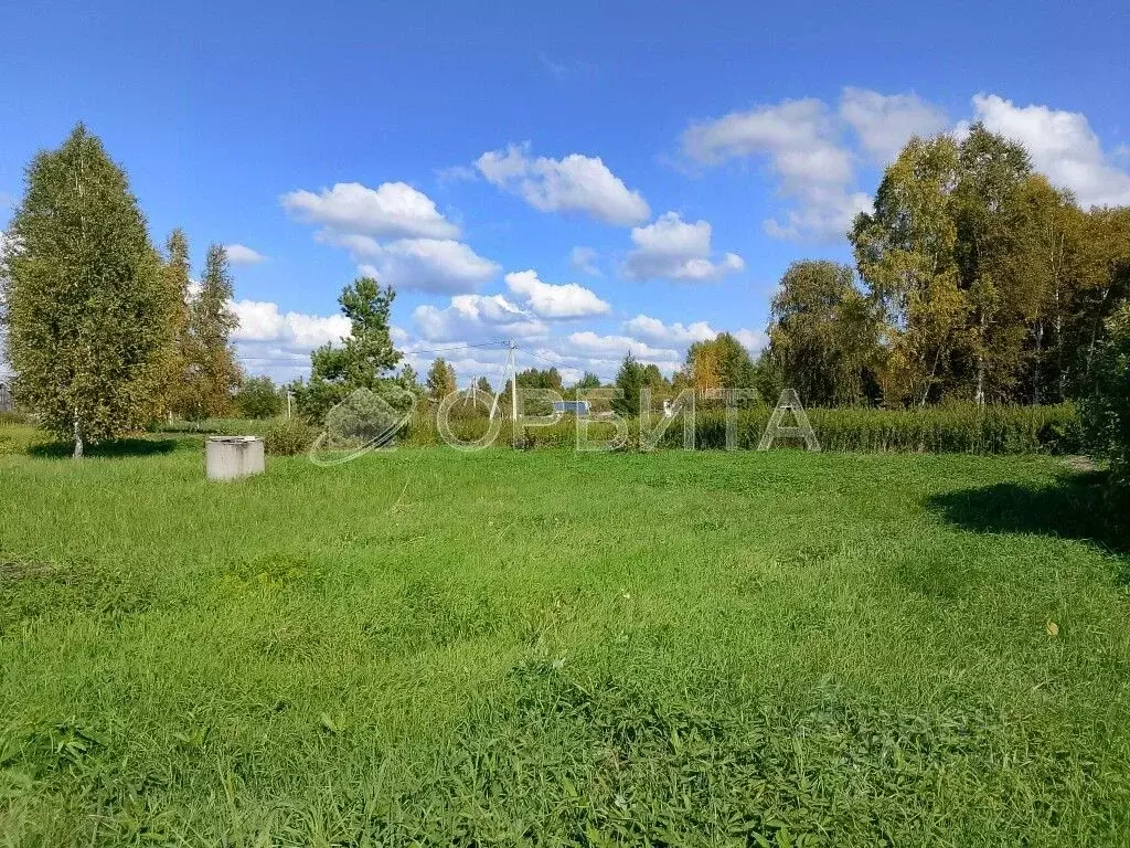 Участок в Тюменская область, Нижнетавдинский район, Виктория ТСН  ... - Фото 1