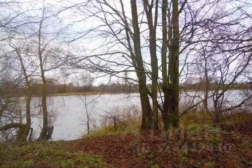 Участок в Новгородская область, Новгородский район, Бронницкое с/пос, ... - Фото 1