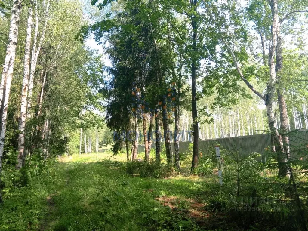 Участок в Московская область, Подольск городской округ, д. Жарково ул. ... - Фото 1