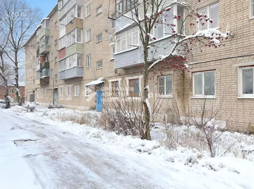 4-к кв. Рязанская область, Скопинский муниципальный округ, Побединка ... - Фото 1