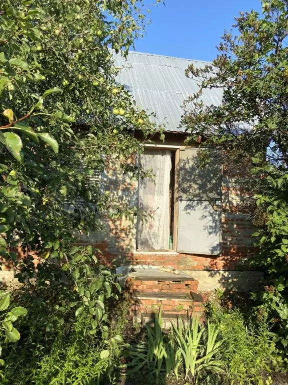 Дом в Саратовская область, Саратов Стадионная ул. (52 м) - Фото 1