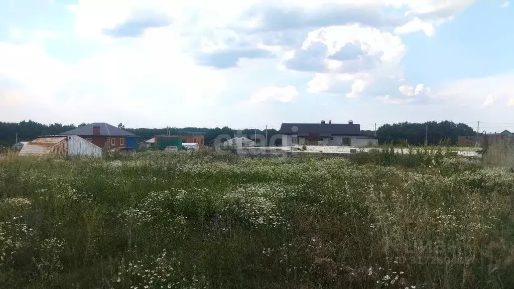 Участок в Белгородская область, Белгородский район, с. Стрелецкое 267 ... - Фото 0
