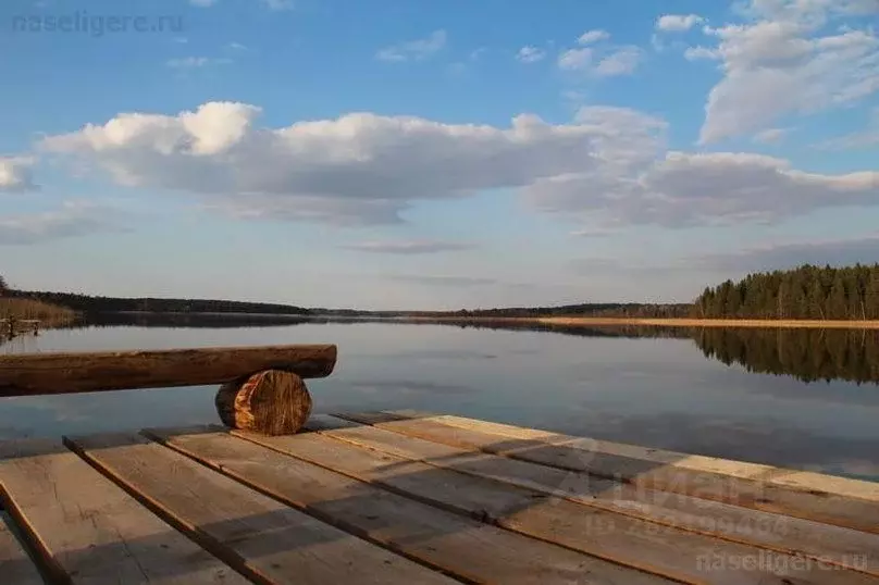 Дом в Тверская область, Осташковский муниципальный округ, д. Конец  ... - Фото 2