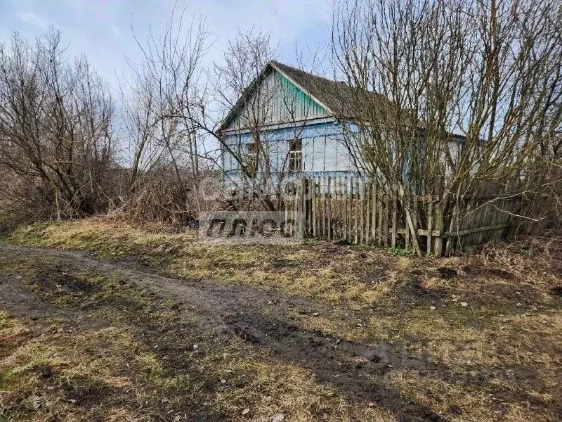 Дом в Курская область, Золотухино муниципальное образование, ... - Фото 1