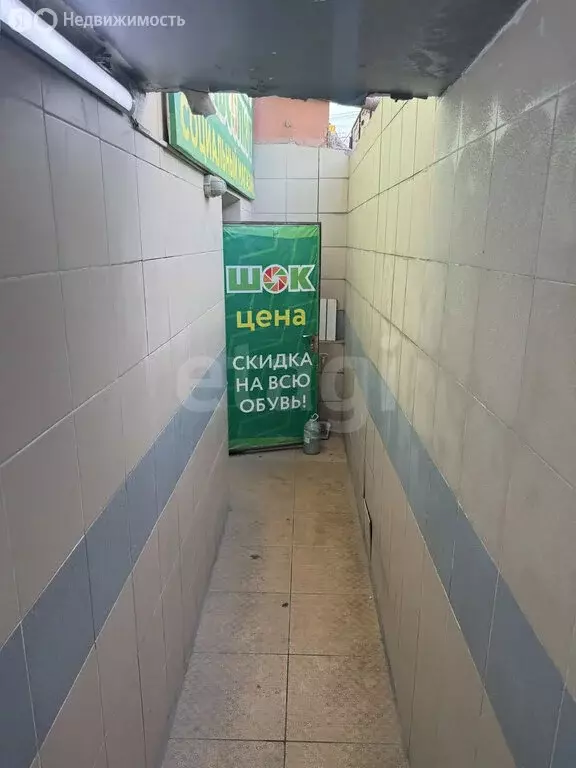 Помещение свободного назначения (269.4 м) - Фото 2