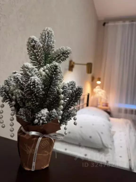 Студия Карелия, Сортавала Советская ул., 5 (25.0 м) - Фото 1