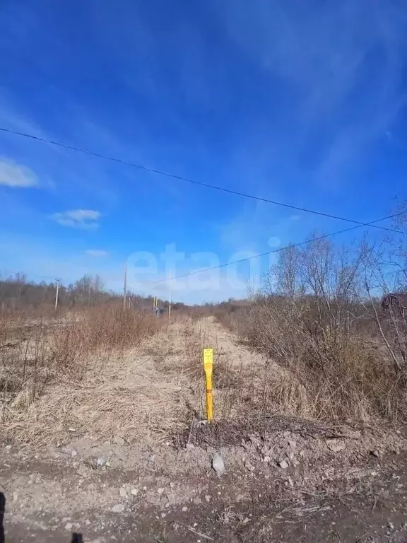 Участок в Ленинградская область, Волхов аллея Березовая (9.0 сот.) - Фото 1
