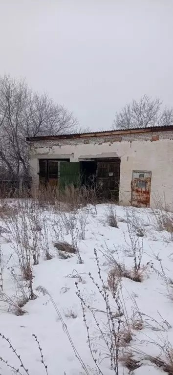 Склад в Курганская область, Каргаполье рп ул. Победы, 11 (80 м) - Фото 0