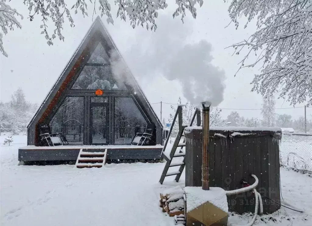 Дом в Тульская область, Донской  (60 м) - Фото 2