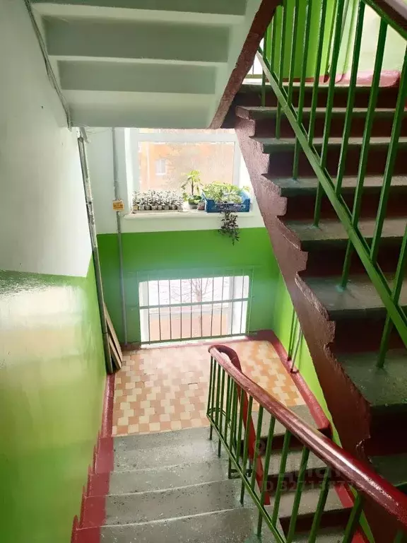 2-к кв. Омская область, Омск ул. Циолковского, 4А (40.7 м) - Фото 1